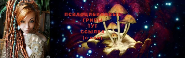 мяу мяу мука Артём