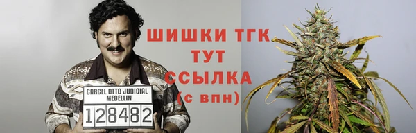 эйфоретик Бердск