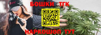 МДПВ Гатчина