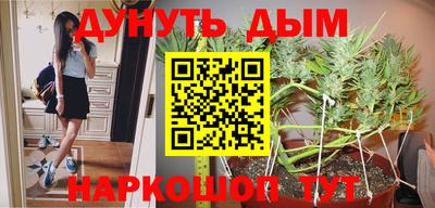 МДПВ Гатчина