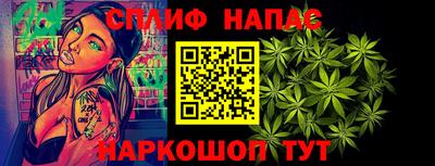 МДПВ Гатчина