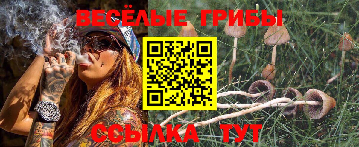 Галлюциногенные грибы MAGIC MUSHROOMS Камышлов