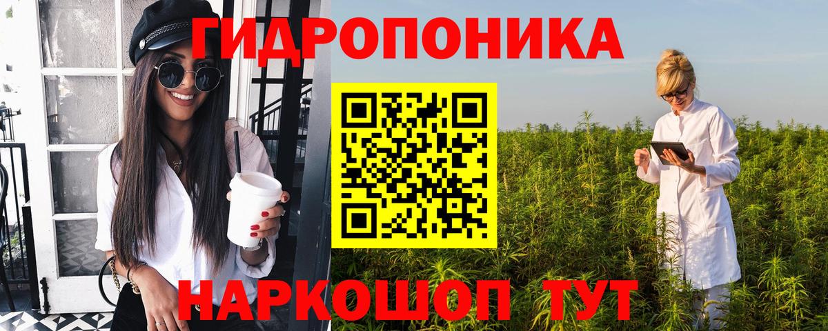 Канабис OG Kush  Вход с VPN  Канабис планчик  МАРИХУАНА MAZAR  Камышлов 