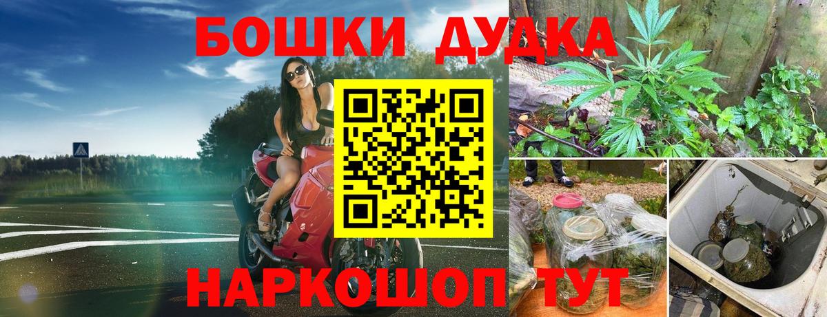 Шишки марихуана Amnesia  Конопля конопля  Камышлов  Марихуана марихуана  Бошки Шишки VHQ 